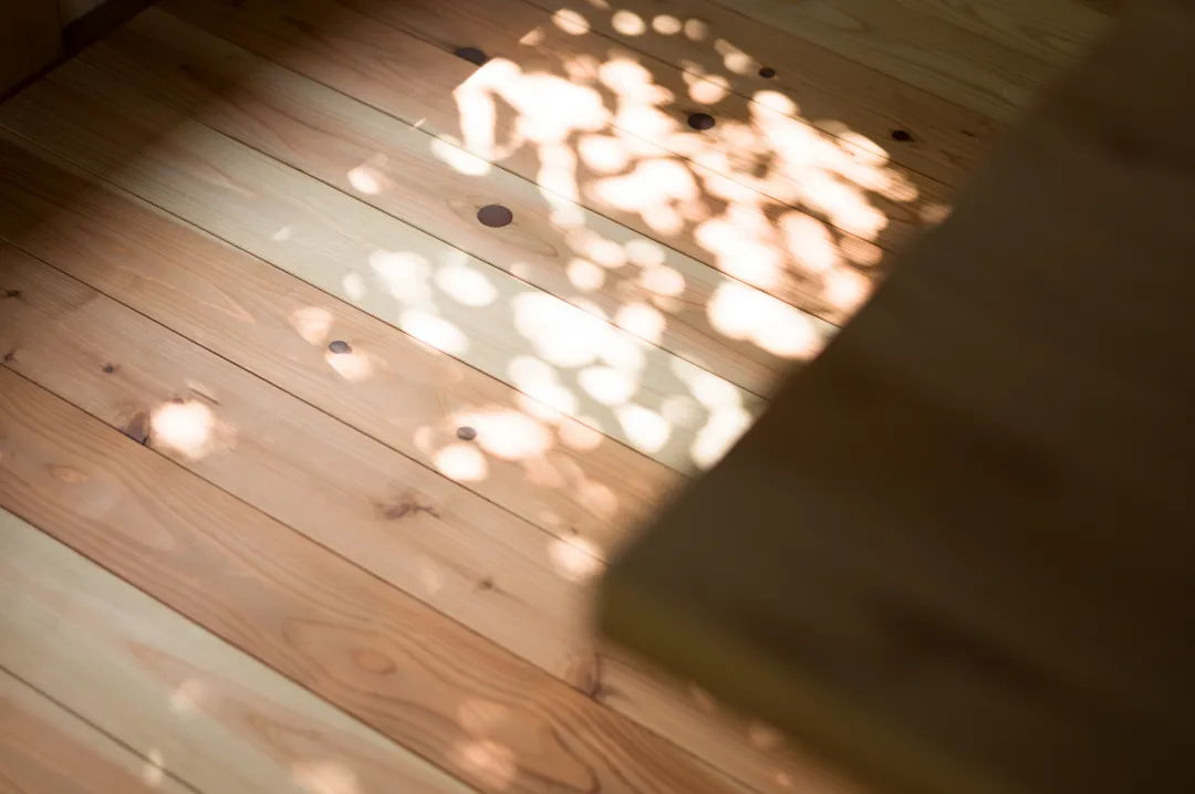 部屋に入る木漏れ日